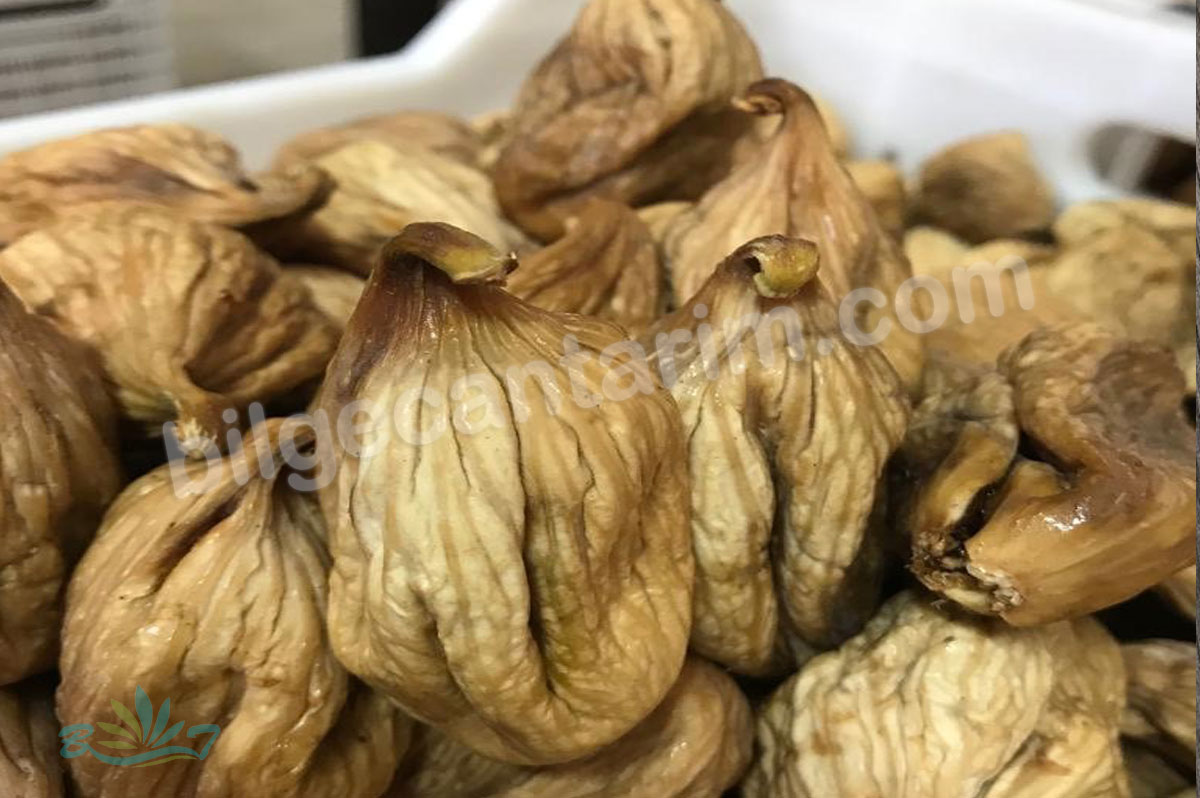 Bilgecan Dried Figs & Chestnut Turkey Aydın